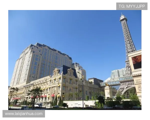 澳门巴黎人网址登录线路优化方案助力玩家快速稳定登录平台的实用技巧