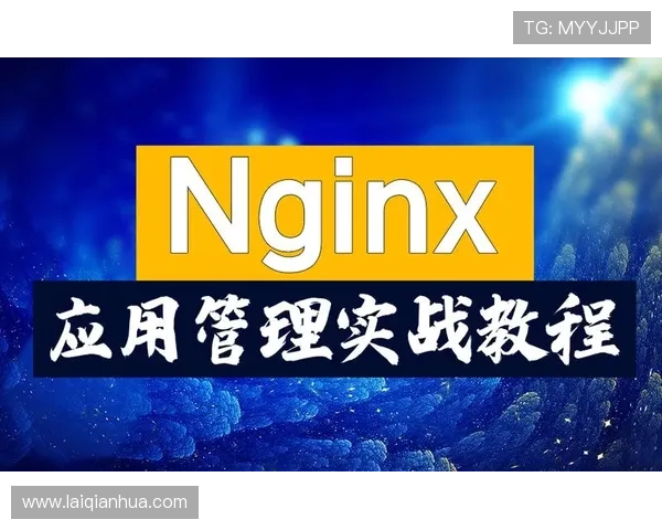 澳门彩登陆官网全面解析，帮助新手快速上手掌握投注技巧